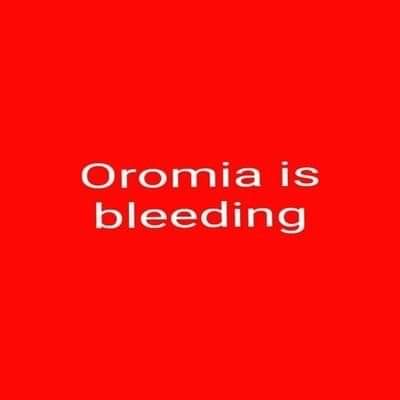 kuush340's tweet photo. Oromia is bleeding because of  #AbeyAhmedkiller oromo Generation &amp; oromo Activist &amp; our hero Hachalu  Hundessa😥

#jesticeforhacaaluuhundeessa

Abey Ahmed must Resign! https://t.co/hi3NPop1dz