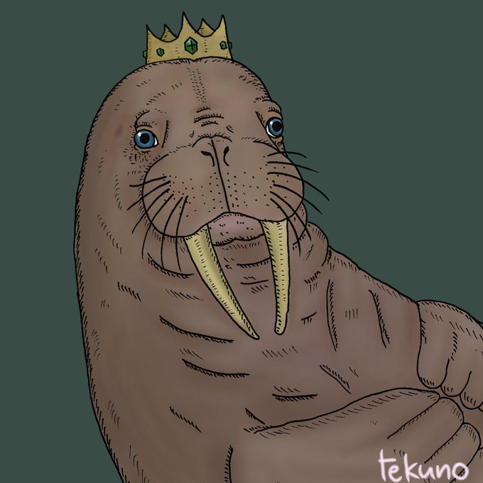 セイウチのtwitterイラスト検索結果 古い順