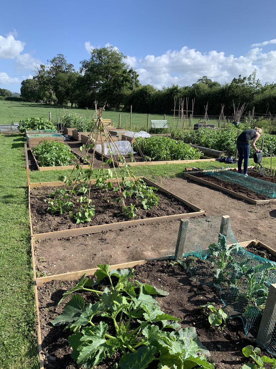 DayJigsaw's tweet photo. Jigsaw’s new allotment blooming ready for our first visit next week!! All our organically grown fruit &amp; veg will be making it’s way back to our kitchens completing the journey from seed to plate for our children  @NDNAtalk @ShitChester @wearechester 💚🌱💚 https://t.co/PDFIWTdLxv