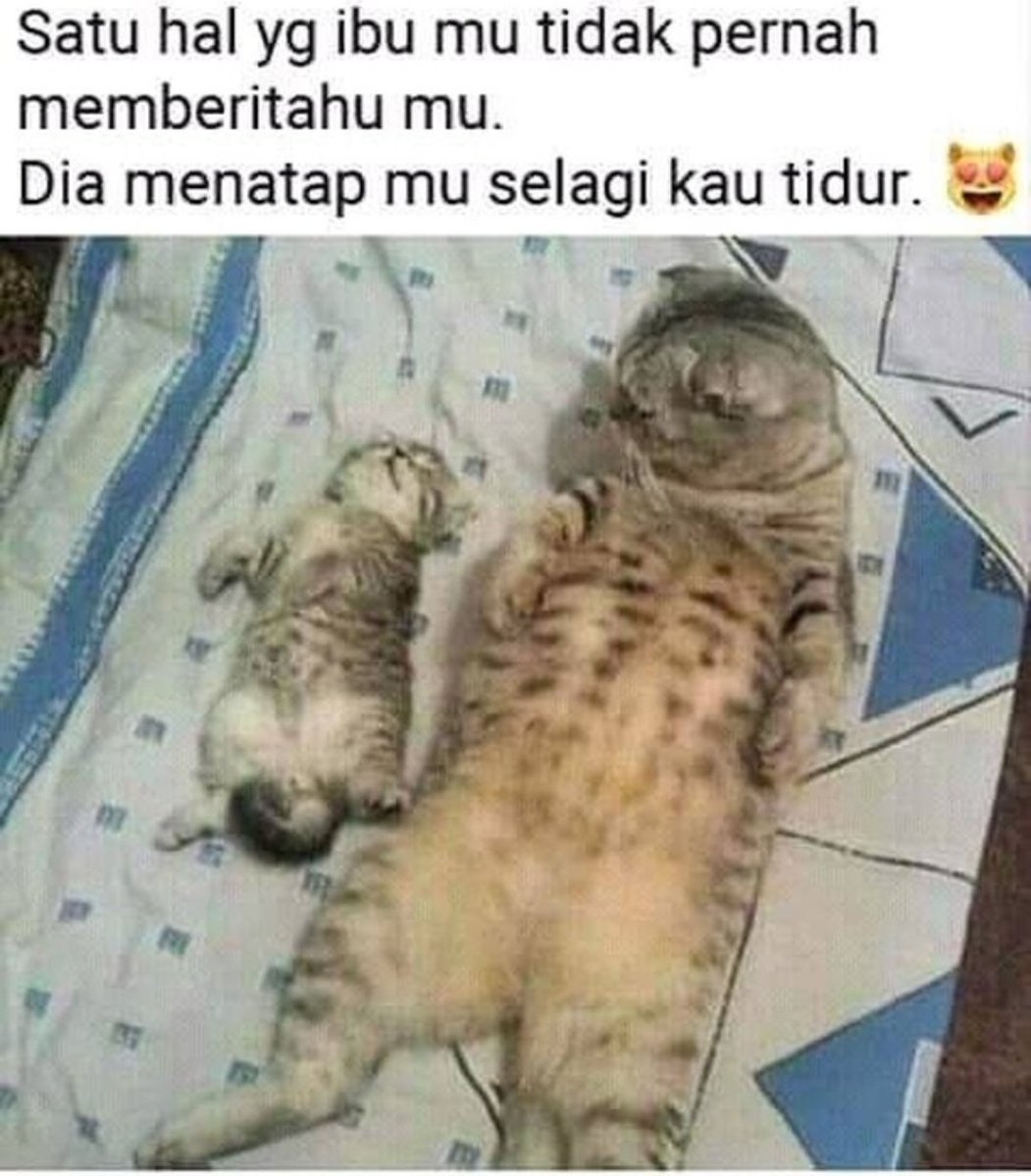 Recehin Aja (@recehinajaid) on Twitter photo 