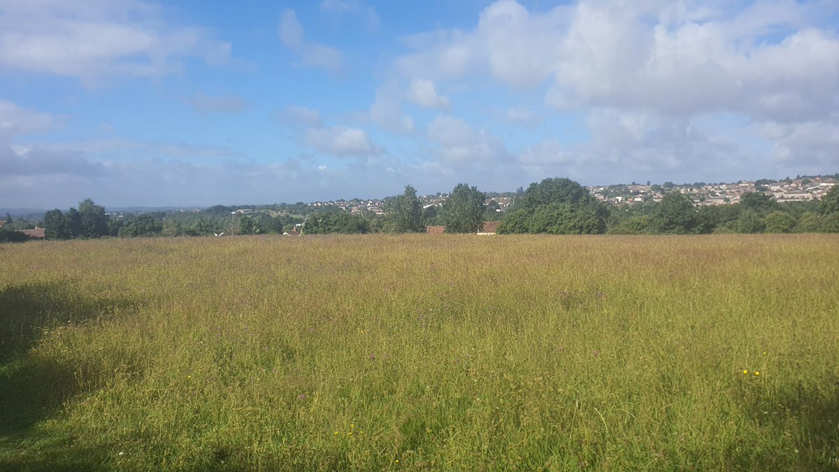 DaveIngerslev's tweet photo. Made it to Keynsham through beautiful scenery like this. Still on pace so far and feeling strong. Thanks Matt for meeting with water at Warmley! https://t.co/YdHACVRPeO