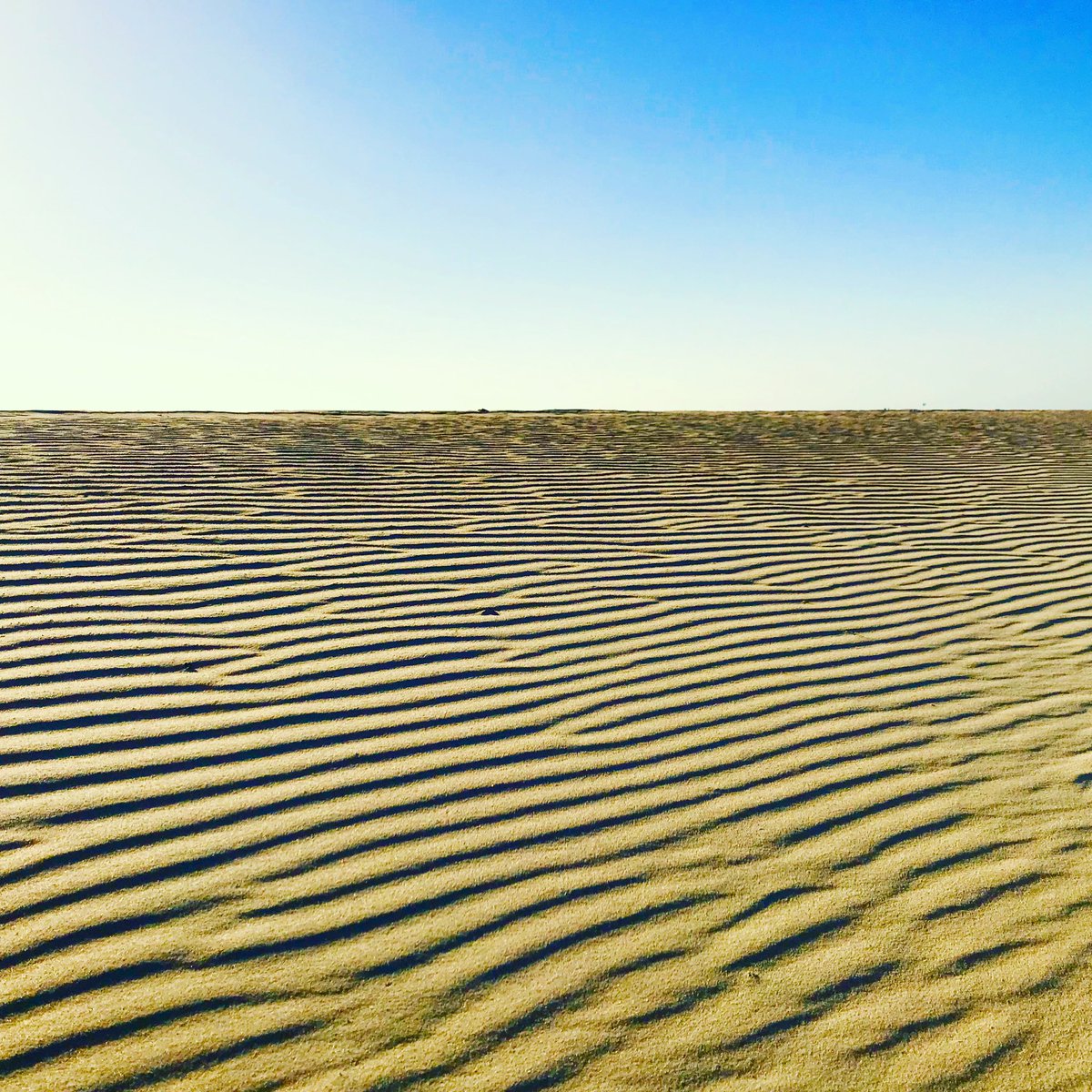 pploaiza's tweet image. Si el Levante pudiera verse tendría esta pinta. #SanFernando #Playa #Camposoto