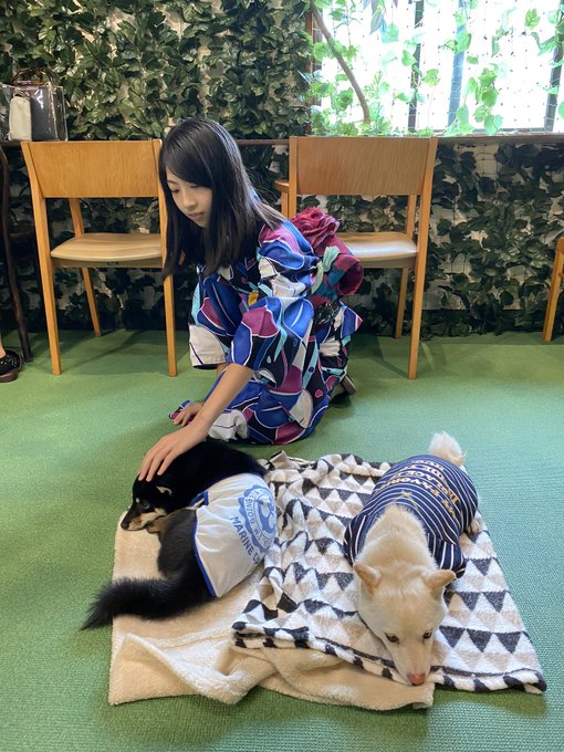 Twitterのコスプレ画像10