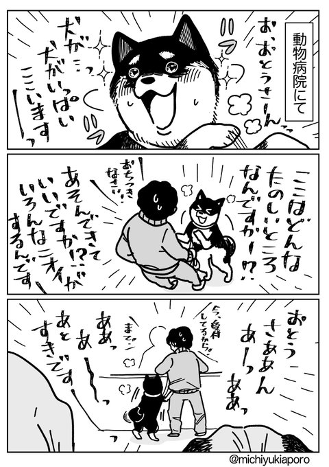 動物病院での私のひそかな楽しみ② 