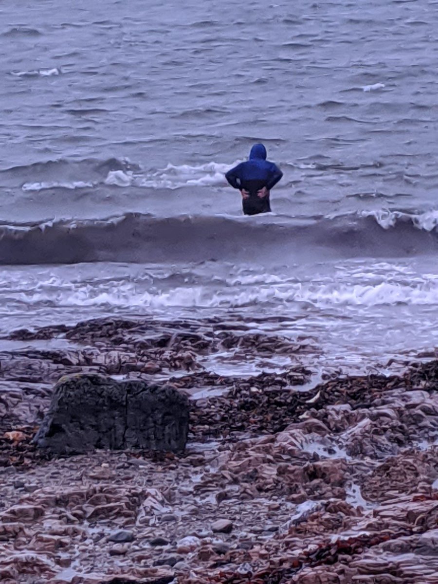 ardnahoe's tweet photo. Some remarkable shots from Friday - one of our production operators, Peter, spotted a beached whale near Bruichladdich, and gave it a helping hand to get to deeper waters. Great job Peter! #Islay https://t.co/ztenXq0cX1
