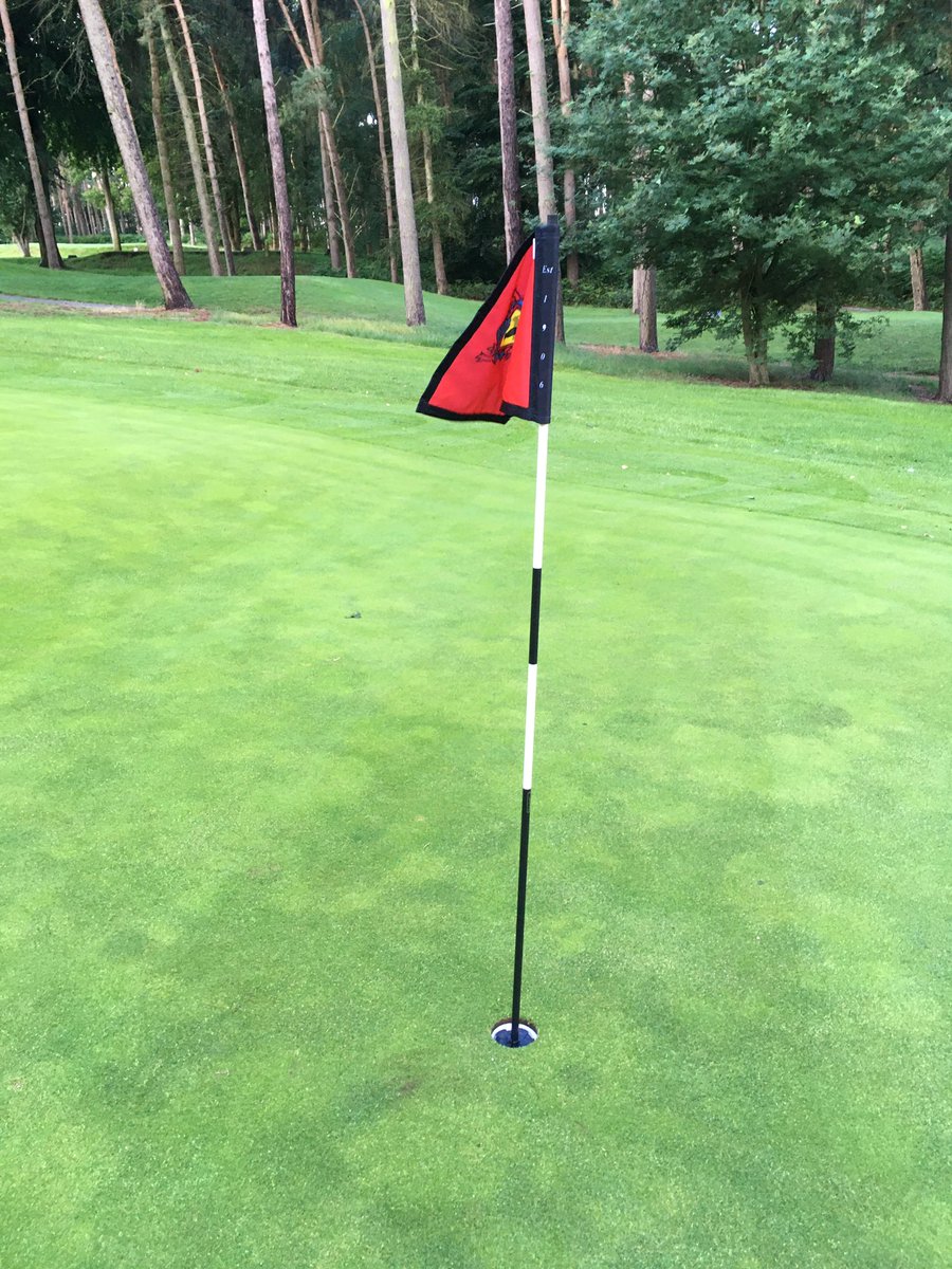 coxy135's tweet image. New logo flags,pins and cups already to go out for president day. Cheers @TacitGolfUK top work 👍#golf #golfcourse #logoflags #pins #cups #greenkeeping #summer #sunday #work #picoftheday @MarketDraytonGC
