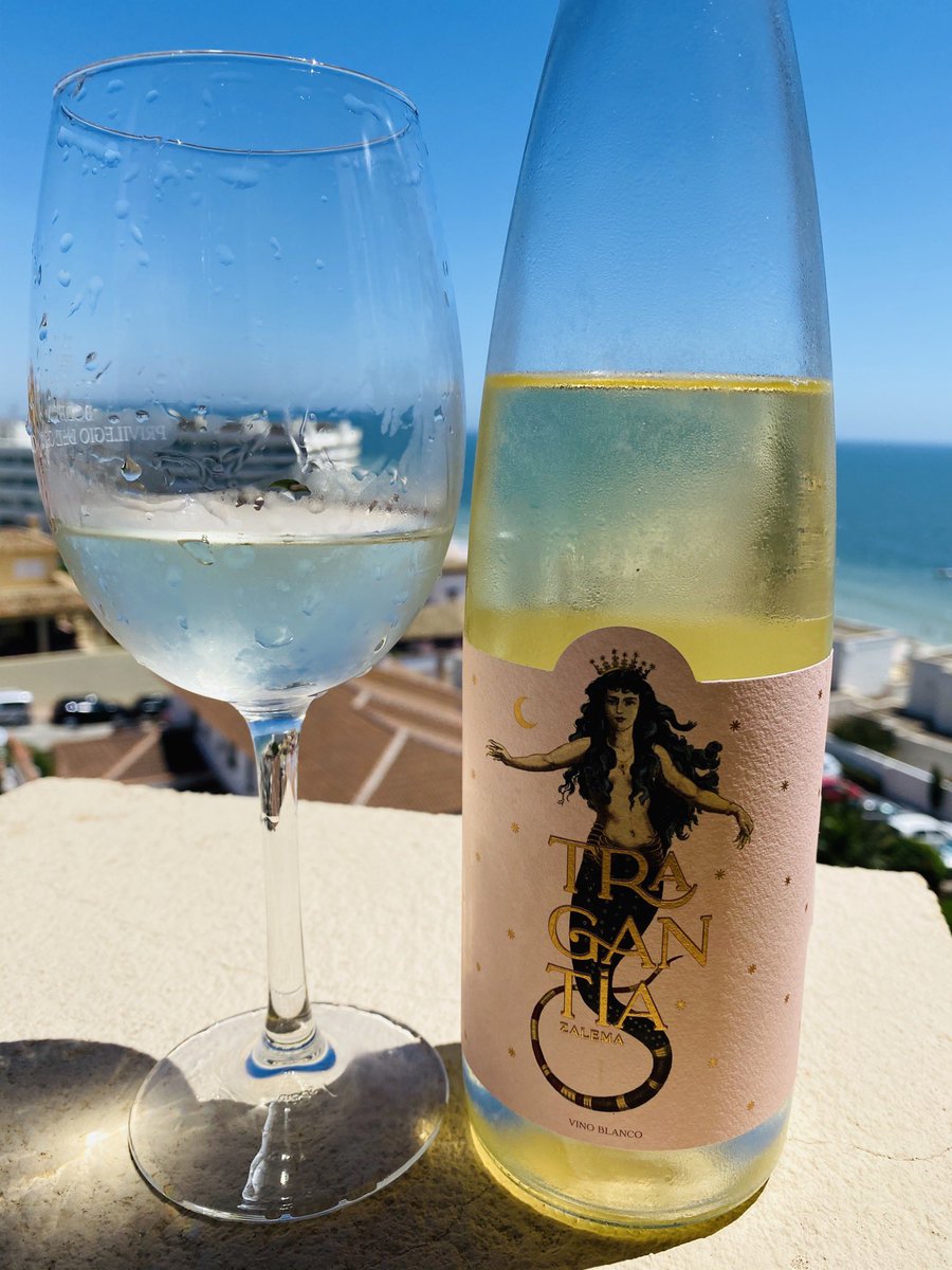 _FranLeon's tweet photo. Un nuevo vino blanco de #huelva #tragantia de #bodegasmam 💯 uva #Zalema de pagos de la zona de #lapalmadelcondado 🔝 un vino fresco, equilibrado, persistente y con aromas primarios de la zalema, un vino que muestra el carácter Atlántico de la costa de Huelva ☀️ 🌊 🏖 https://t.co/APphQt8tL9