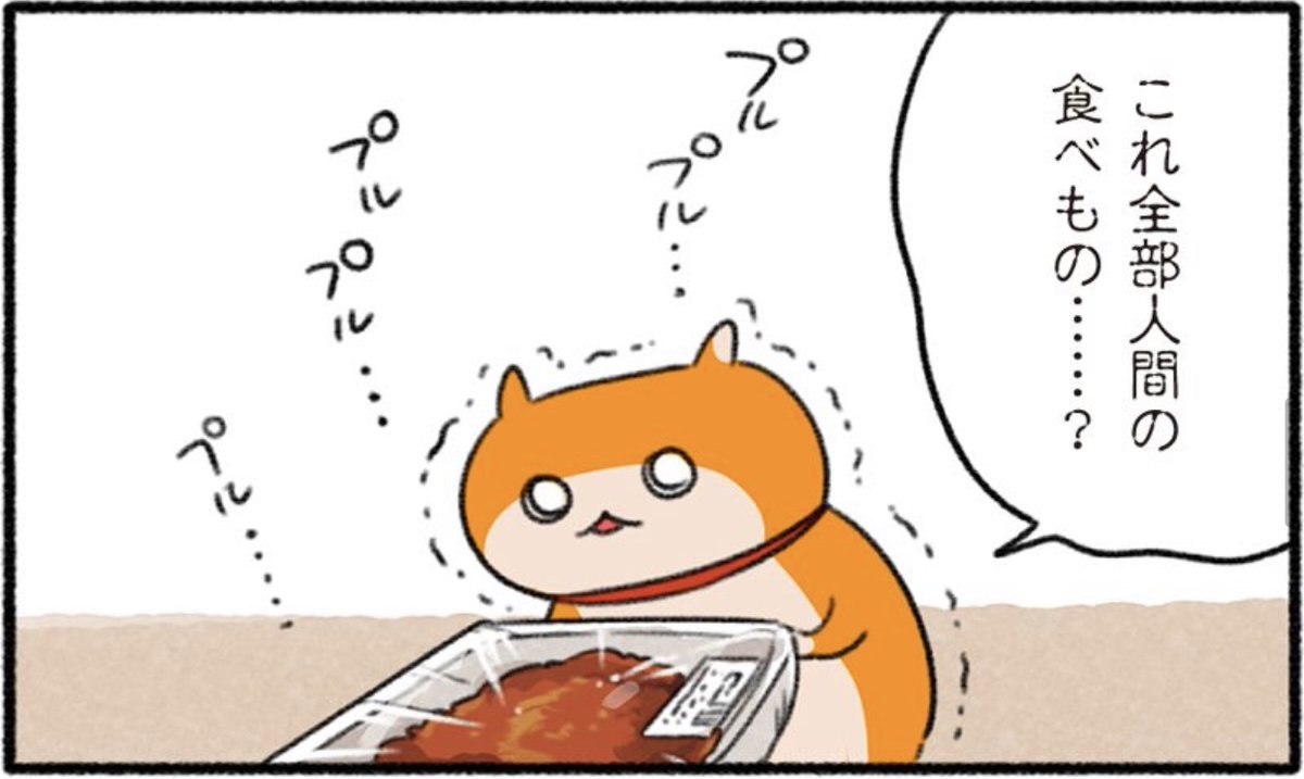 クソハム、スーパーへ行く
#生きぬけ爆走クソハムちゃん 