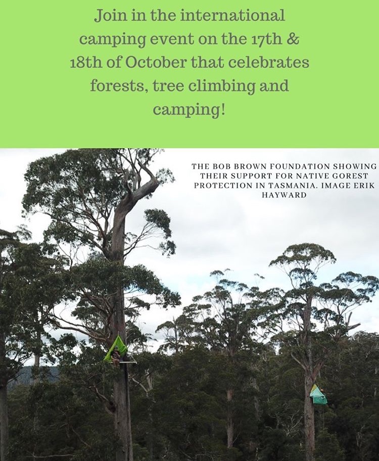 CanopyCamp's tweet image. THREAD

***Save the Date: 17th -18th October 2020***⠀
⠀
Hello canopy campers and forest enthusiasts!⠀
⠀
We hope you’re all well and staying safe. ⠀
⠀
We are delighted to announce the Big Canopy Campout is the 17th and 18th of October 2020!
