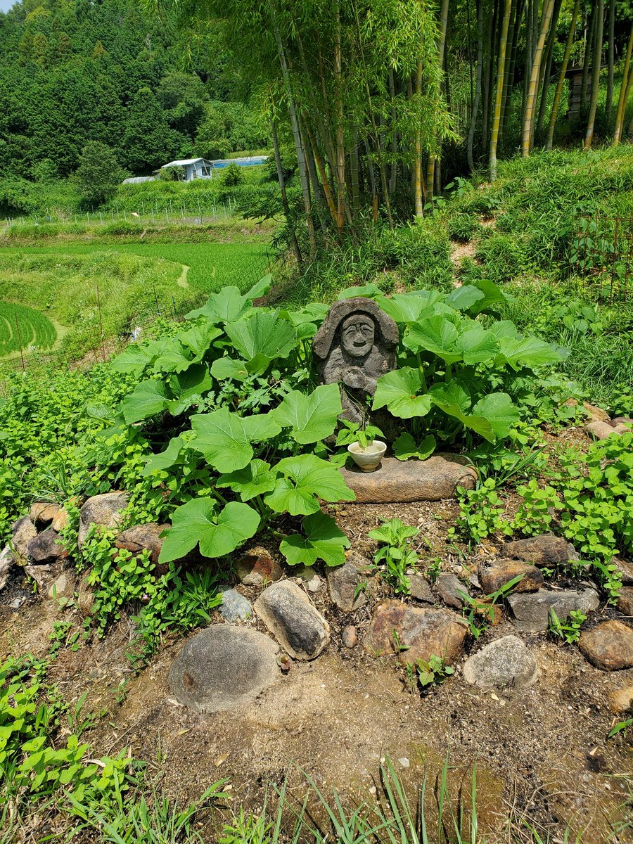 食べるコトを広げる人ゲンさん 元農家 今日は久々に家族でお出かけ 奈良の原風景を体感できる場所へ 清澄の里粟 山羊 ペーター