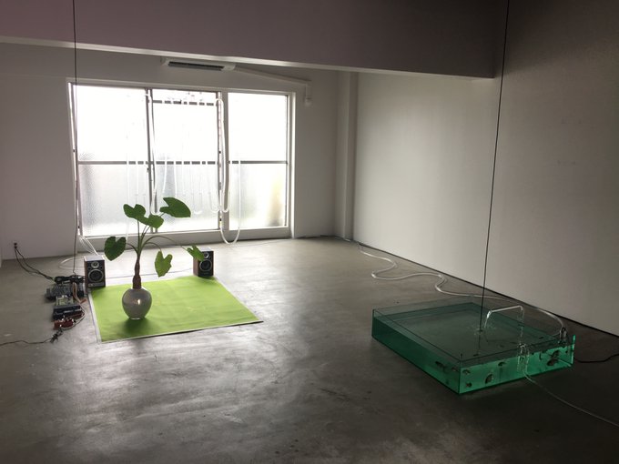 花園 高画質 のtwitterイラスト検索結果