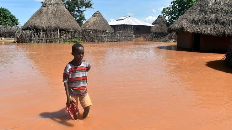 monariochwangi's tweet image. What can it benefit man to earn billions of illegal money from logging forests,fossil fuel industry and carbon emissions and later suffer and die in misery of climate change? Why are we so stubborn to #ListenToScience?  #ClimateCrisis is already claiming lives. Pls #ClimateAction