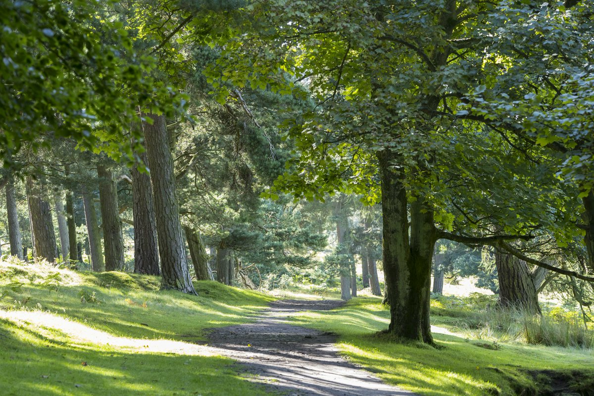 NT External Affairs tweet media