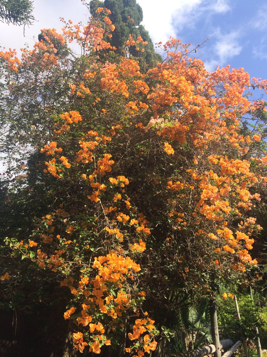 John Pittman (@orbisexecutive) on Twitter photo 