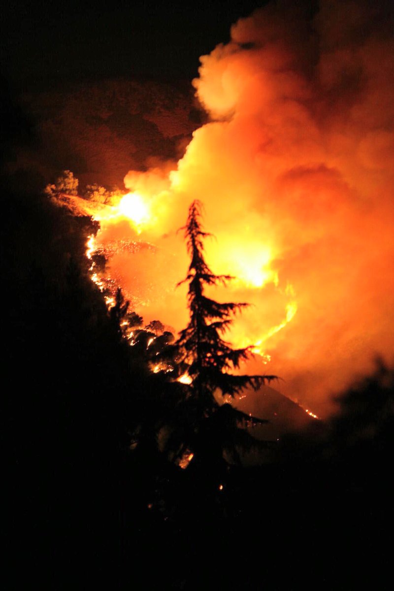 Erik Saulietis tweet media