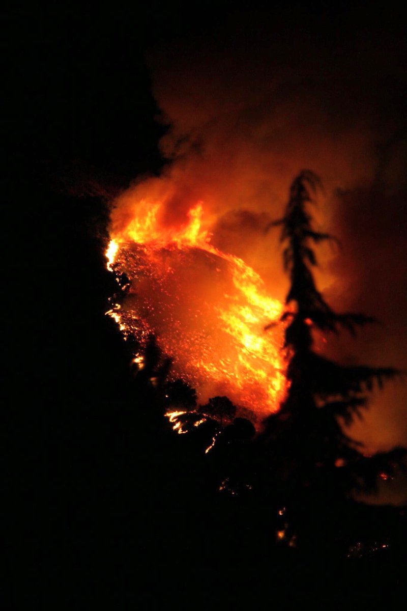 Erik Saulietis tweet media