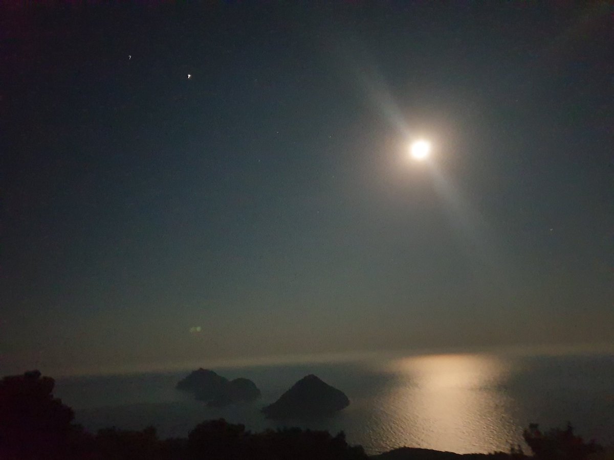 alper (@sadmavi) on Twitter photo 