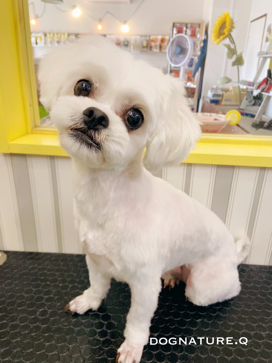 Qちゃん♪本日のご来店ありがとうございます♪