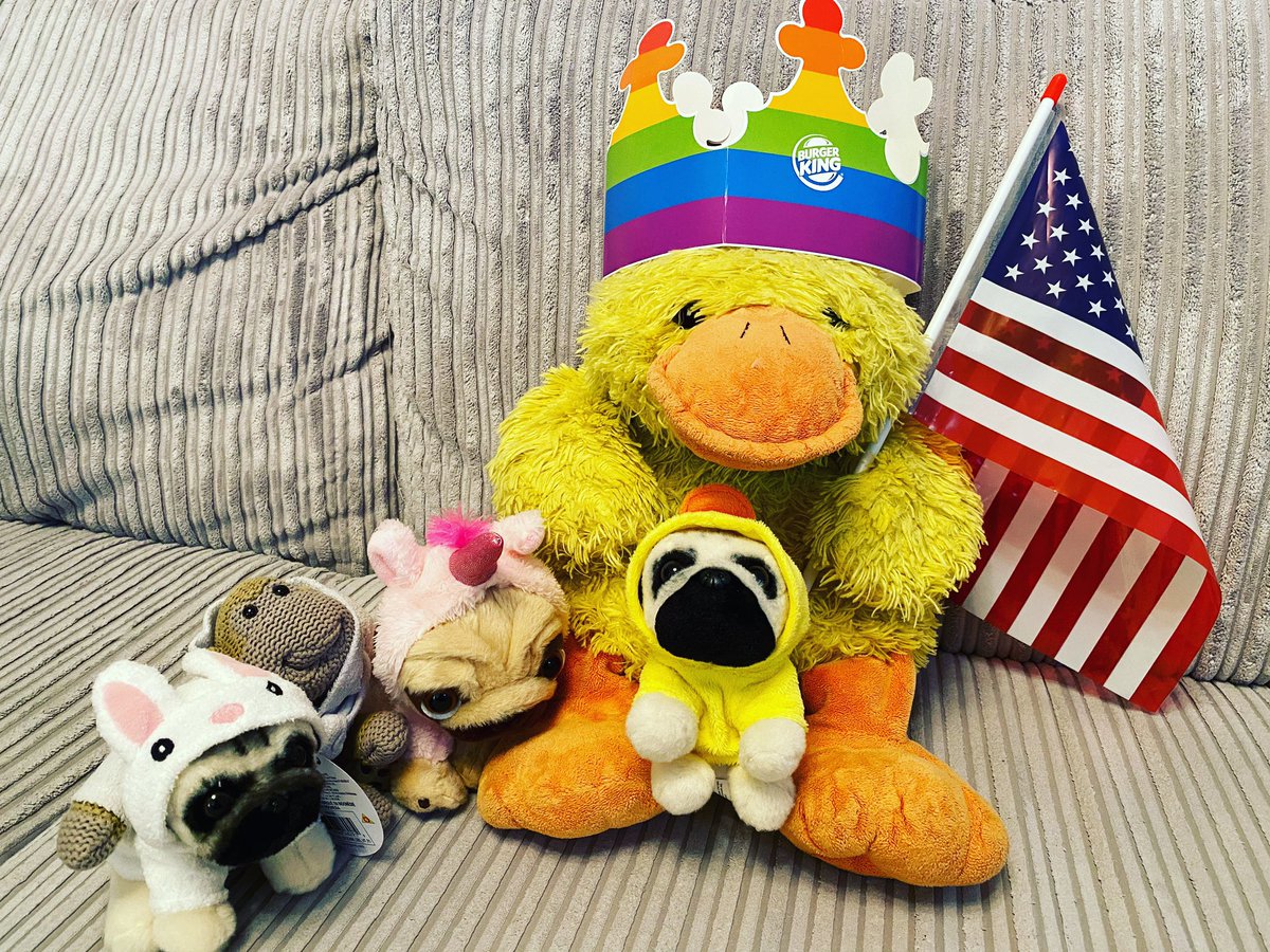 Howard_Flufflet's tweet photo. #Happy4thofJuly from me and my friends. New #bunny pug there with Maurice https://t.co/sUnd0vjEKb