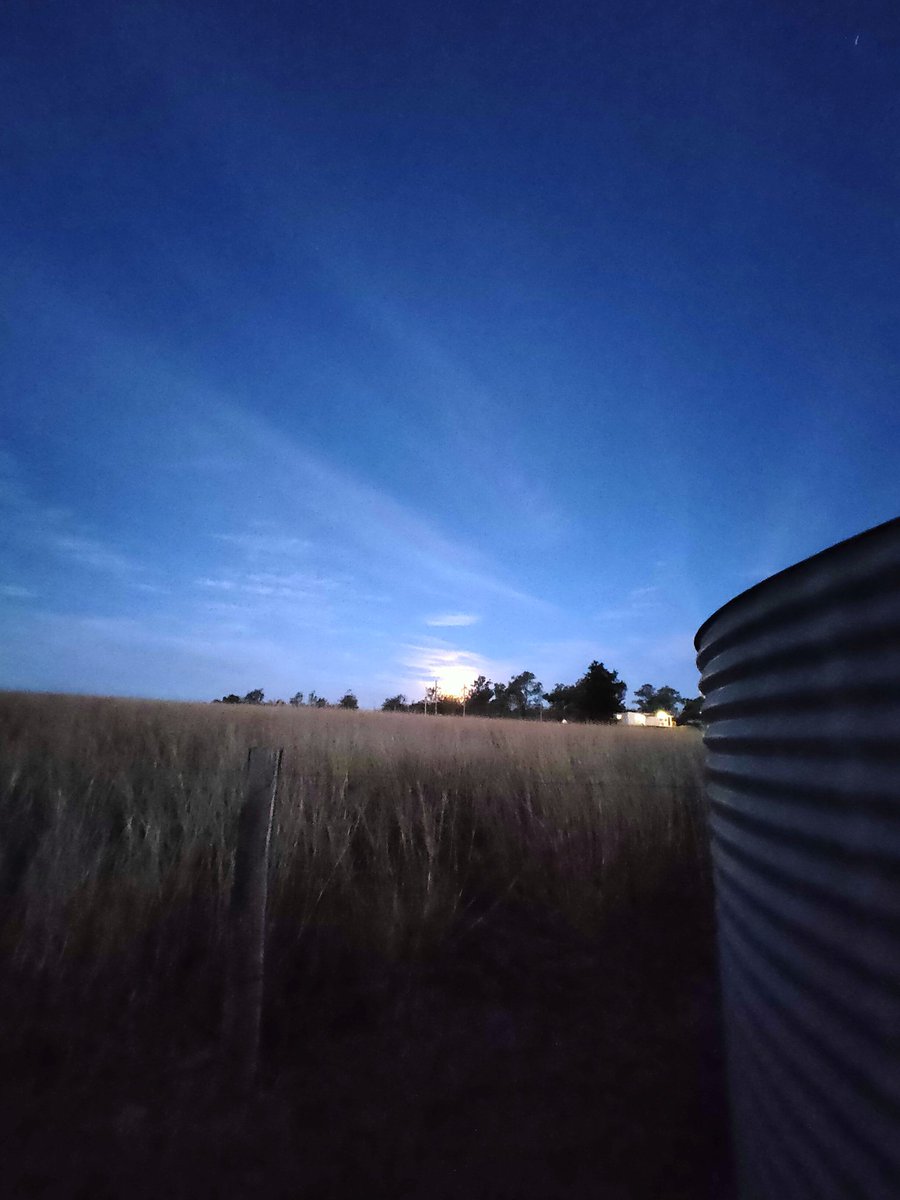katek4307's tweet photo. Let's howl at the moon together 🐺
#moon #moonrise #FullMoon #lunar #LunarEclipse #Eclipse #night #mutdapilly #scenicrim https://t.co/wszi7UXEnP