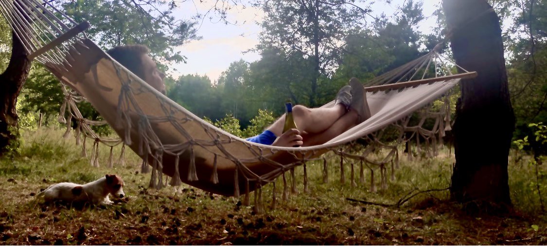 salso14's tweet photo. More bliss. Fuerta included 💙 ! #poland #countryside #sunnyday #friends #sunshine #chillin #forest #polishcountryside #hammock #barbecue #jackrussellterrier #jrt #fuerta #playful https://t.co/bOJe0Mwogw