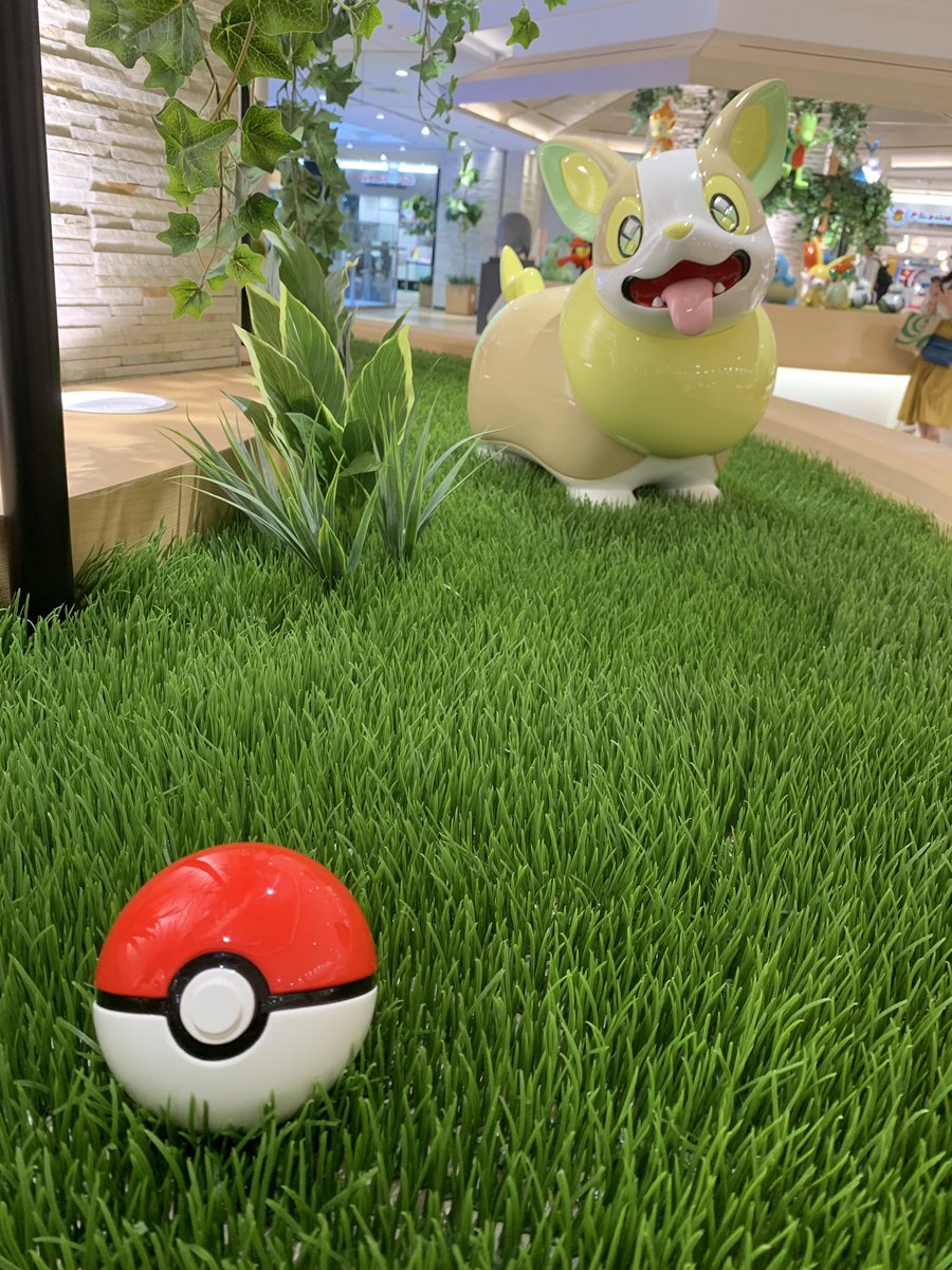 福地奏子 ワンパチ コーギーがモデル ポケモン コーギー ワンパチ 福地奏子 ワンパチ コーギーがモデル ポケモン コーギー ワンパチ