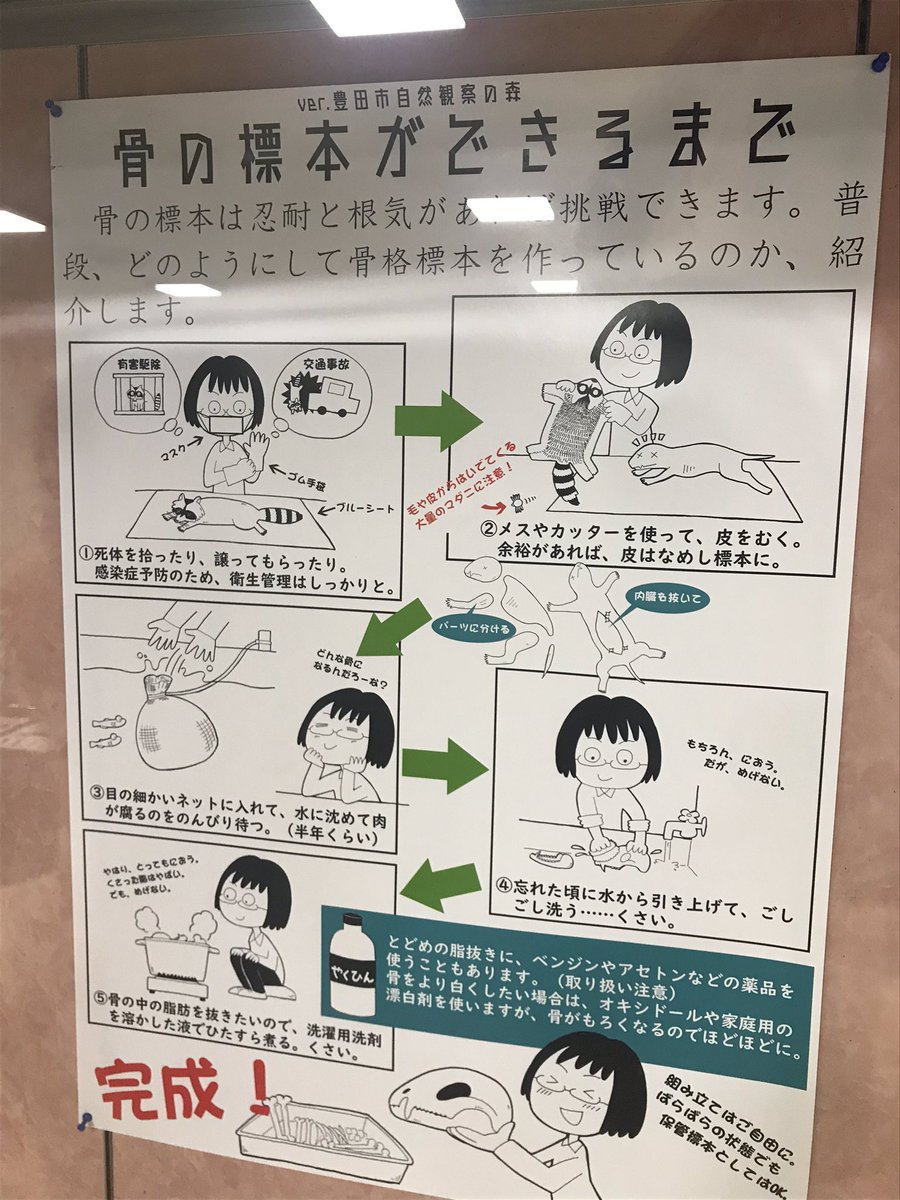 豊田市中央図書で7月31日まで 月曜休館 5階企画展示コーナーの 豊田市自然観察 安斉 俊の漫画