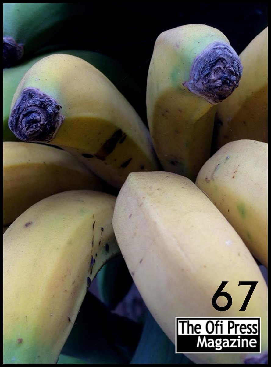 theofipress's tweet photo. Ofi 67 now online with creative work from all over the world! #Poetry #Translation #Reviews https://t.co/QDAY05heJG https://t.co/VjBIAd3j0P