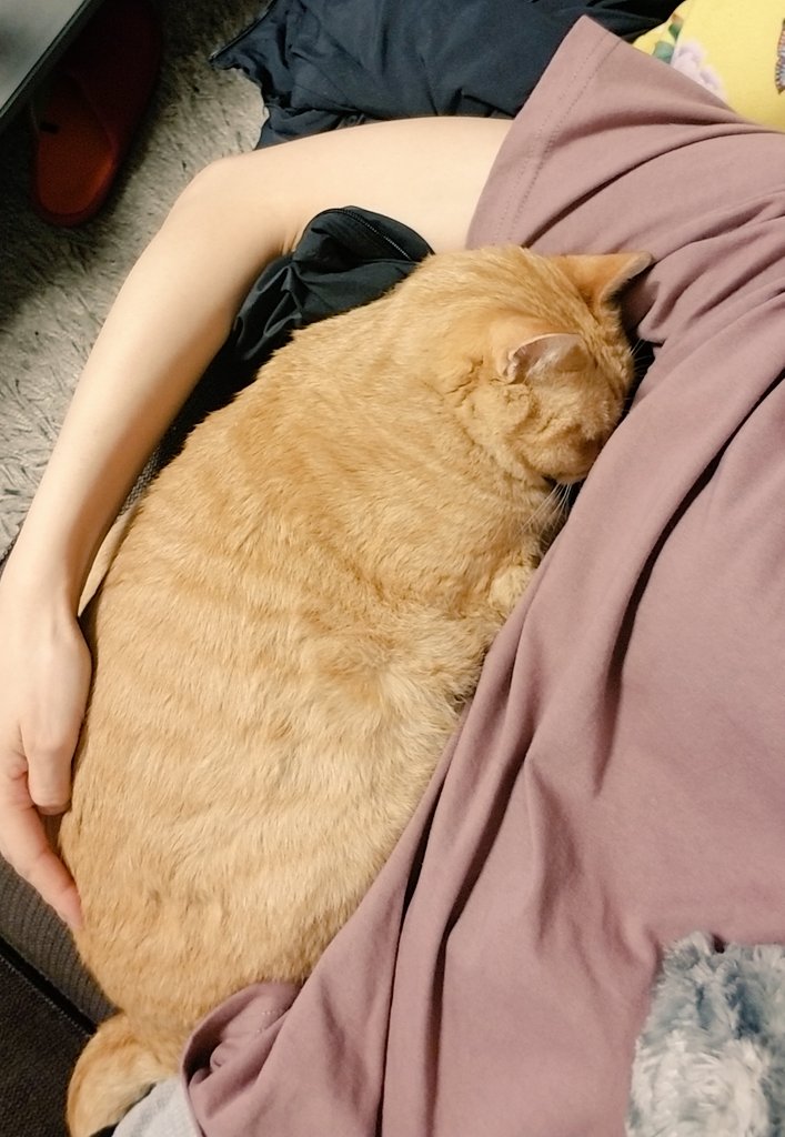 おやすみなさい♨️