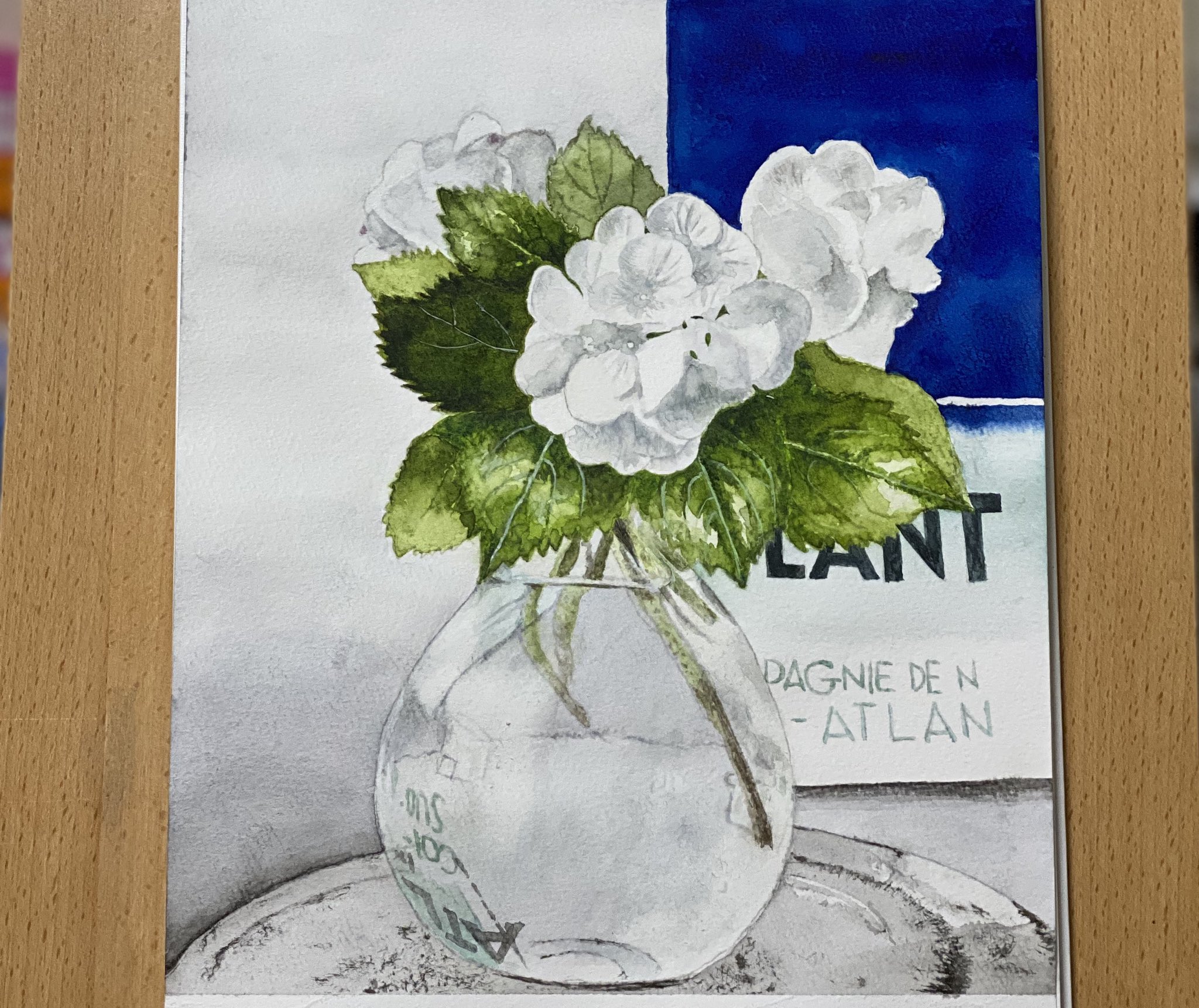 ﾉﾘｺ 水彩画 白い紫陽花 水彩画 ボタニカル ガラス 紫陽花 T Co 3uthkxcses Twitter