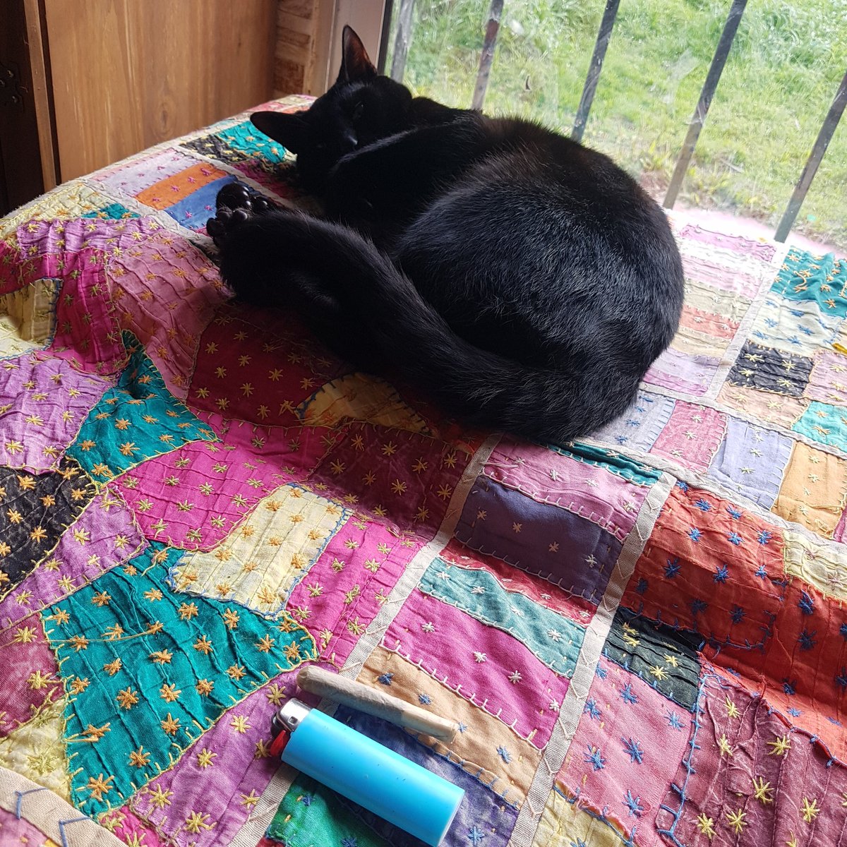 cabesadedoverde's tweet photo. DORMIR É BOM, MAS ACORDAR PRA F1 É TOP!
.
.
.
#Weed #Cat #Catnip #ForCat #GreenWeed #ForHuman #Maconha #Legaliza #Brasil #Legalize #Uruguay #Pet #Cannabis #Sativa #Indica
@BrisaBot
@Maconharia04i20
@MaconheiroMemo @SmokeBuddies
https://t.co/rbfdXjiMv0 https://t.co/zZyYOW079t