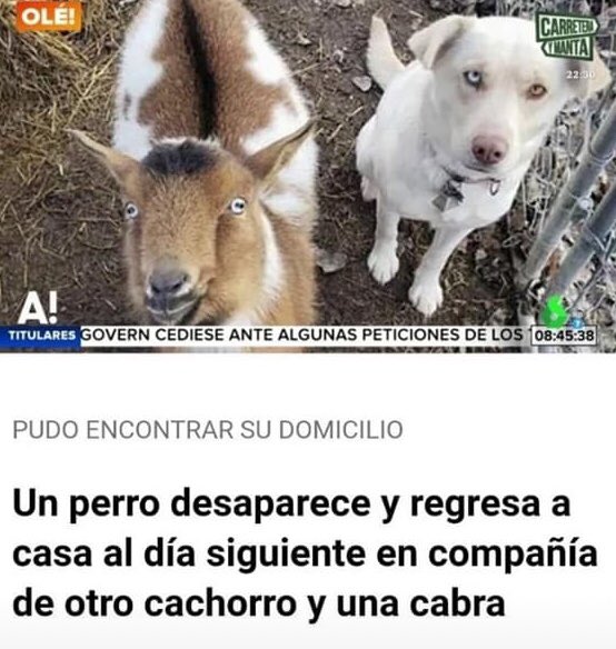 ChimoBayo's tweet photo. No iba a salir... Y se lió 😆 https://t.co/XxvkSlfmdz
