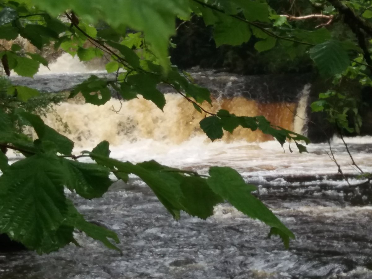 TawnylustLodge's tweet photo. A walk on Fowley's Falls, #Rossinver followed by delicious lunch at the @organiccentreie #Leitrim has it all for a #safebreak in #IrelandsHiddenHeartlands @TourismIreland @TasteLeitrim #slowadventure Cafe open every week end. https://t.co/a5Y74WA9RJ