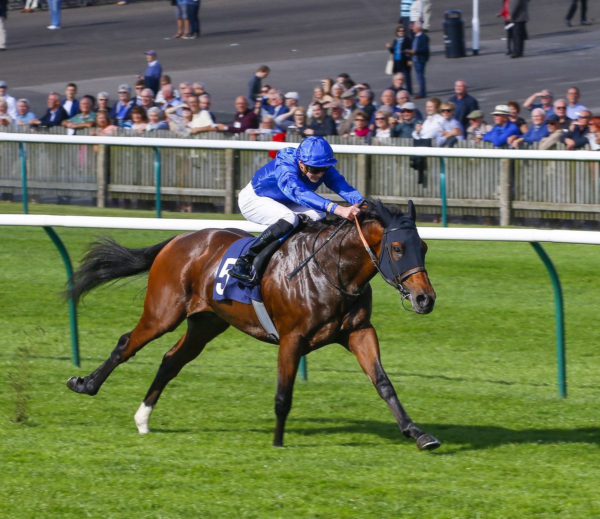 Ghaiyyath wins the Group 1 Coral-Eclipse at Sandown 🙌

Enable finishes second on her return!