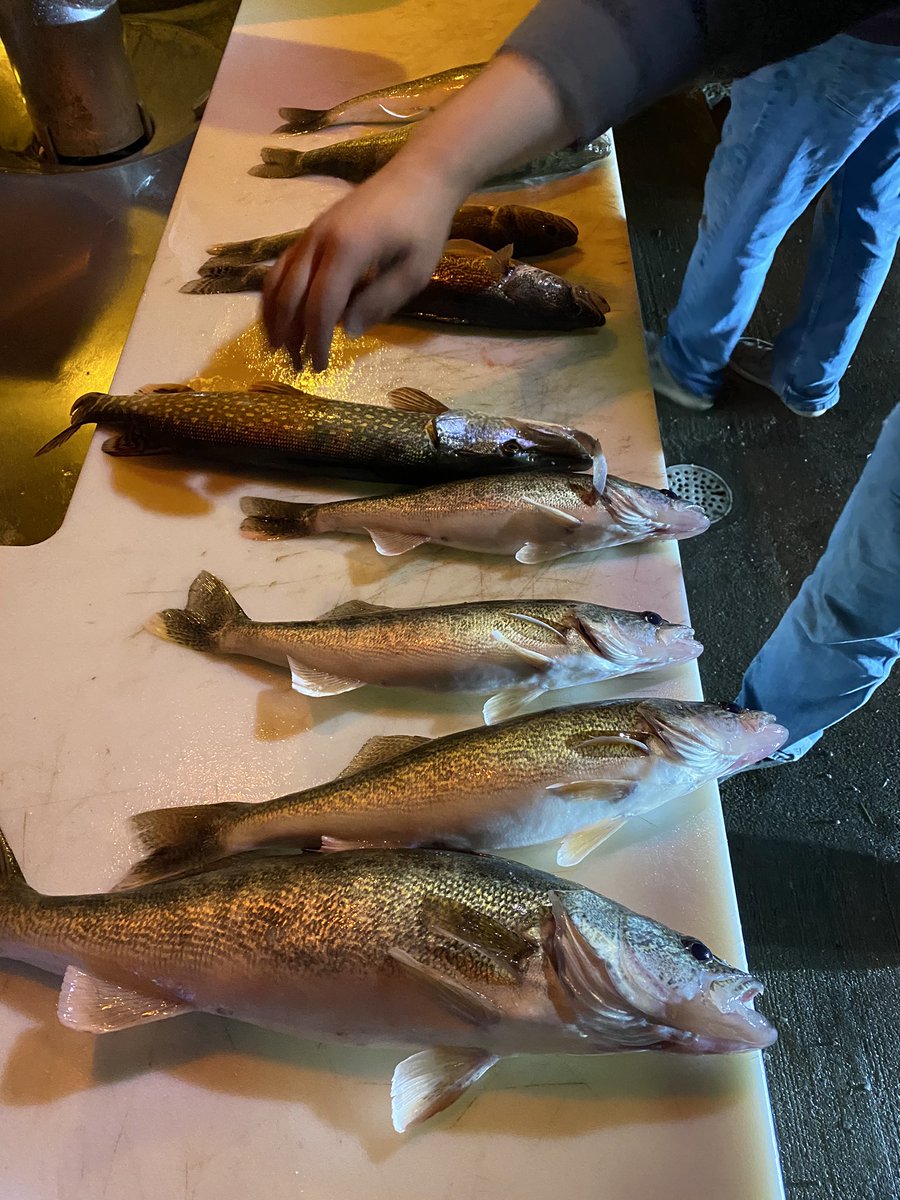 You could say fishing has been a success this summer...