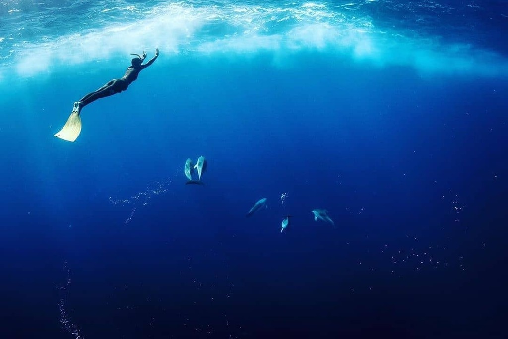AzoresWhatElse's tweet photo. O que achas da foto? Deixa a tua opinião nos comentários!
.
Photo By @tintiucc Souvenir des açores! #swimwithdolphin #monofin #wildocean @waterway_fins 📷 @alexvoyer_fisheye
.
#Repost #AzoresWhatElse #Azores #Açores #Portugal #View #Travel #Nature 🖤 https://t.co/6l8WbmIJ7J