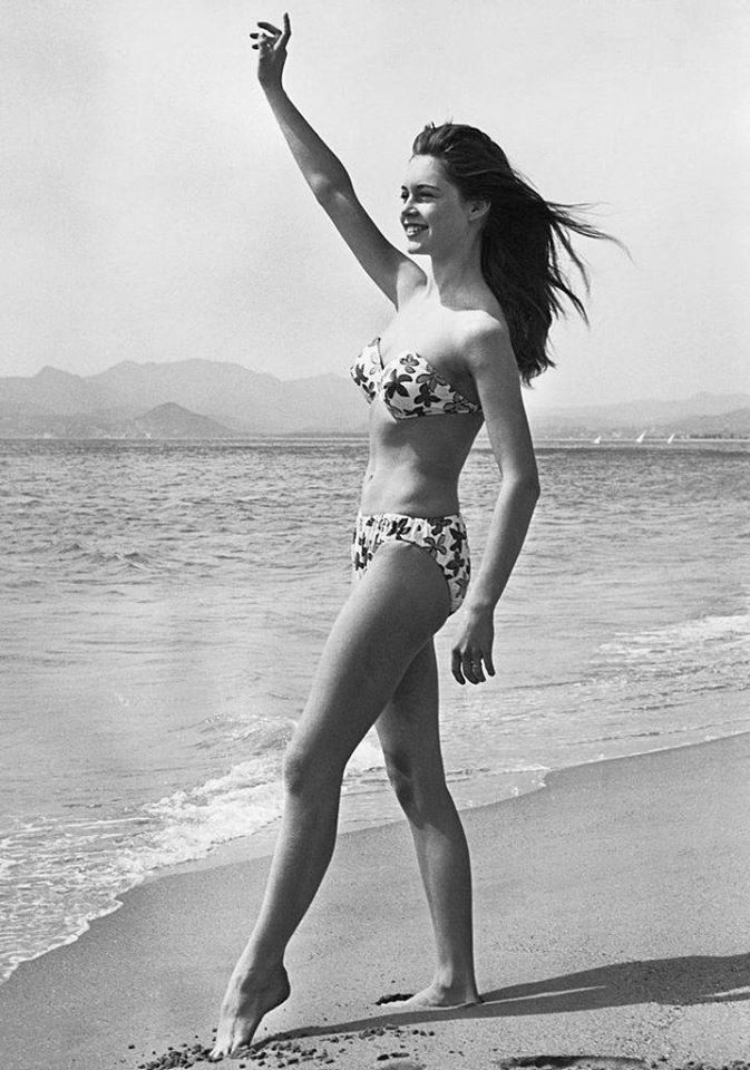 spacewoman reporter tweet media