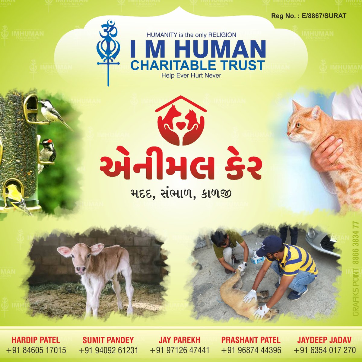 iamhumanfounda1's tweet photo. #I_M_HUMAN_ANIMAL_CARE
#HelpingHealingCaring https://t.co/xyxRkO3lC9