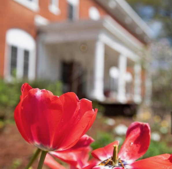 USG_eCampus's tweet photo. Let your dreams blossom ๐ผ as you prepare for tomorrow.
Photo cred: @westga @uwgalumni
#uwg #westga #gowest #gowolves #sundayscenic #soulfulsunday #scenicviews #sundayblessings #nighttimeviews #natureviews #nature #photography #usg #usgecampus #onlinelearning #remotelearning https://t.co/sU85SzsfE5