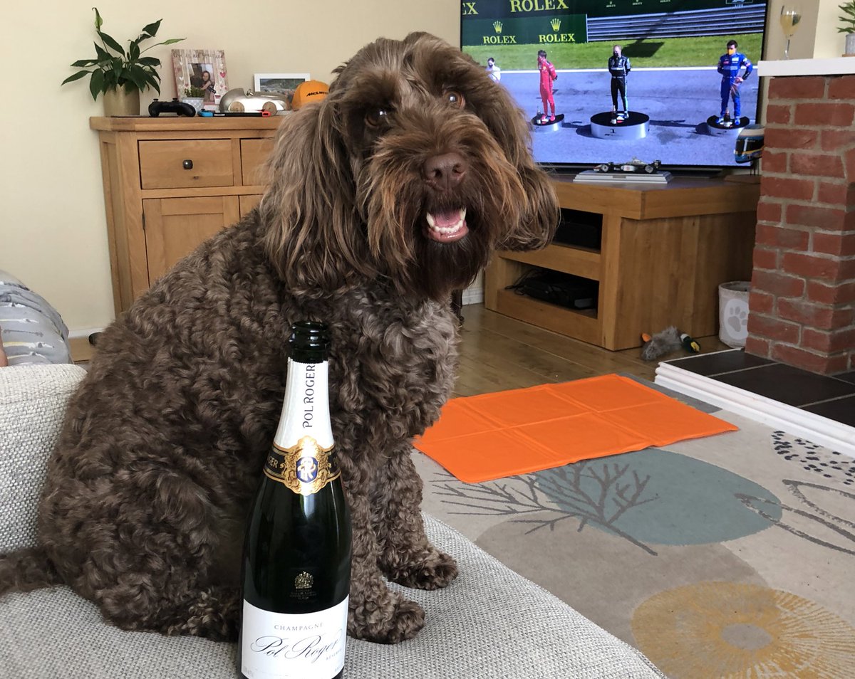 Dog are allowed champagne right? #YappyHour #BelieveInMcLaren