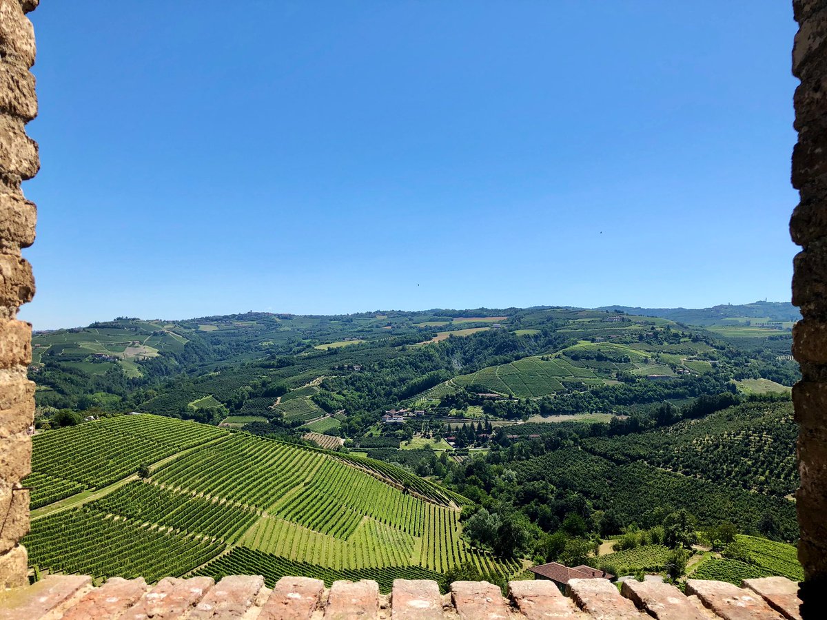 Il confine tra la bassa e l’alta Langa. Tra i vigneti pettinati e i noccioleti scompigliati. Il confine tra Pavese e Fenoglio