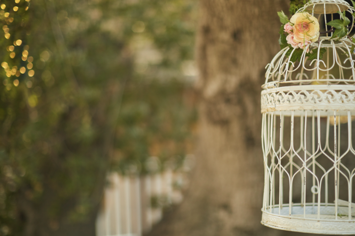 hallmarkchannel's tweet photo. .@rachelboston and @niallmatter star in #StoptheWedding starting now. RT if you are watching with us #Hallmarkies. #WeddingWeekendCountdown #4thofJuly https://t.co/sh2i0cu921