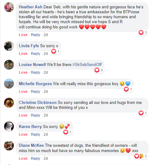 MistaHippyDalek's tweet photo. @Baileyspringer1 @HeidiBT1 @MrSebBT @bt_pepper @lyndaward5 @bluewrather @Rufus_The_Red @HighlandIsla @littlepipbt @Europete2 @CJweeborder @NeddlePeddle @BonnieBT13 @diamondbertie @Freddie_bt @lilliandarchie @3phibotticelli @LuluSacks @MrKiplingwoof @mabelandstanley @trudyterrier @HendrixBT @ThomasATerrier @rescuedogdexter @ONSLOW_bt @claptonterrier @stockton_teddy @Hubble_BTerrier @Oscar18Bear @emmameaden1 @bthooligan @BRODIEPUP01 @Croston2Croston @hooterboy @BTMissM @HWicket @misheleneous @MossTheBT @welshborders @b_terrierists @DKennedyHands @Heidi_BTerrier @LupusBt @KipsterD #SirSebSendOff #Facebook 2/3 https://t.co/hjkQG1OphK