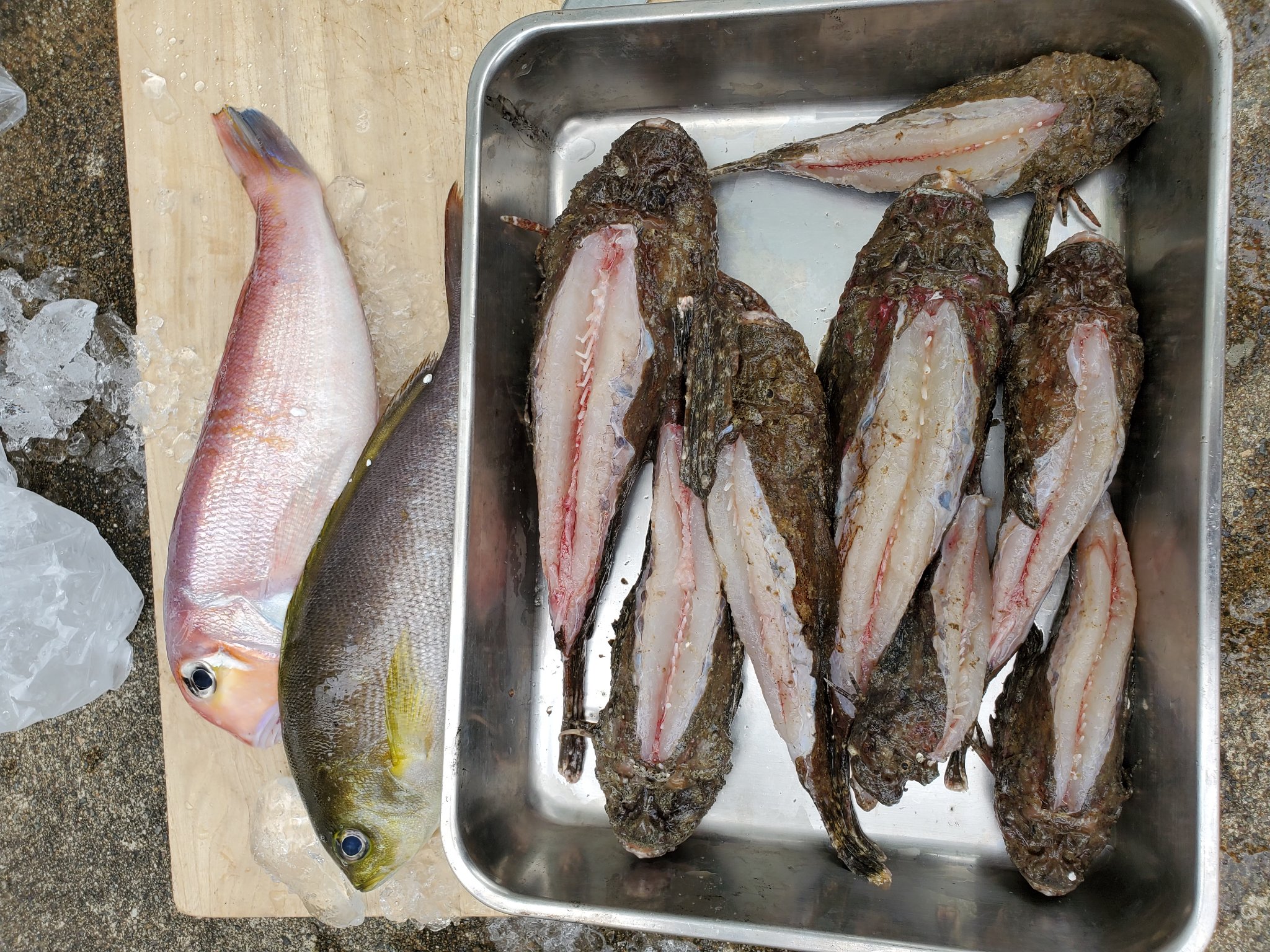 村上雄哉 釣りできないので小浜の市場で買ってきました アマダイは松笠揚げ オコゼは唐揚げ 脂ノリノリのイサキは刺身で T Co Ndhsggmsjj Twitter