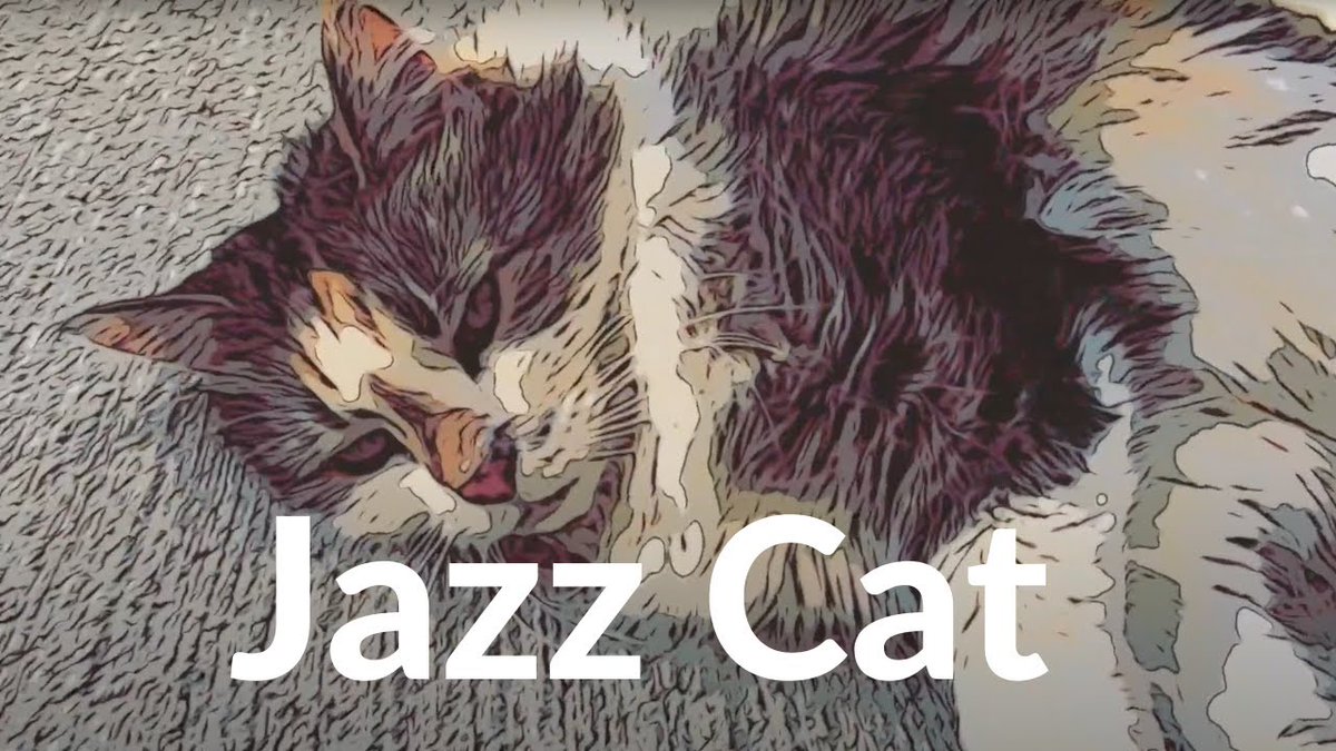 MeowMoeDotCom's tweet photo. CUTE CAT: #Jazz Cat 6
#Cats #Cat #Kittens #Kitten #Kitty #Pets #Pet #Meow #Moe #CuteCats #CuteCat #CuteKittens #CuteKitten #MeowMoe #AdorableCats #AdorablePets #AnimalASMR #AnimeCats #Cats #CuteCats #CuteCatsVideos
https://t.co/rrm0cnun8h https://t.co/jnlVjTxGRQ