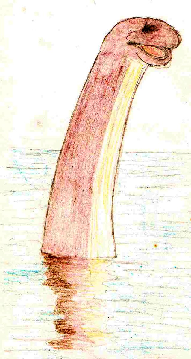 It’s a remarkable colour photo, surely one of the best ever taken of  #Nessie! As a kid, it was one of my favourite Nessie images, and here’s my own drawing of it. I should add that part of this is explored in my 2017 book Hunting Monsters. Anyway…  #cryptozoology  #LochNessMonster