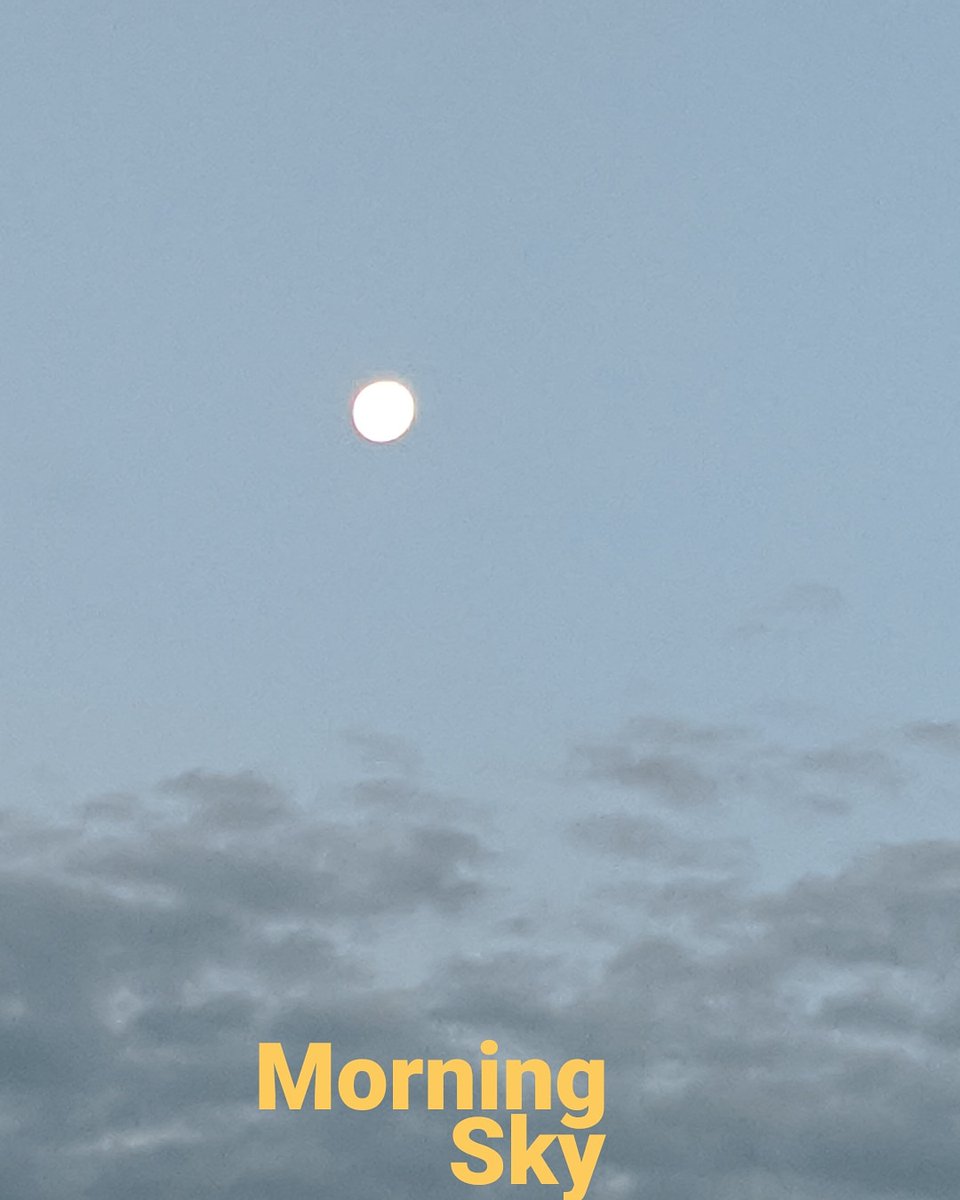 thelma968aolcom's tweet photo. @JulieRi39597096 Good🌞Sunday Morning Miss Julie❣️
Morning 🌕 Moon 😍 Hope you are doing well and enjoying your Holiday Weekend Sweetie 😀
#kindness #GoodVibes #moon #Smile https://t.co/gNqlc6mpnk
