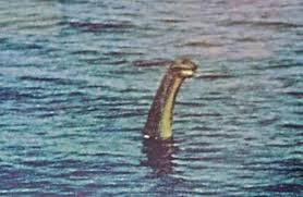 It was, he said, smooth and glossy, with powerful muscles, and that the portion out of the water was about 1.5m long (which is large). There’s a white blob at the base of the neck (remember that feature) [the version of the photo used here is distorted in the vertical].  #Nessie
