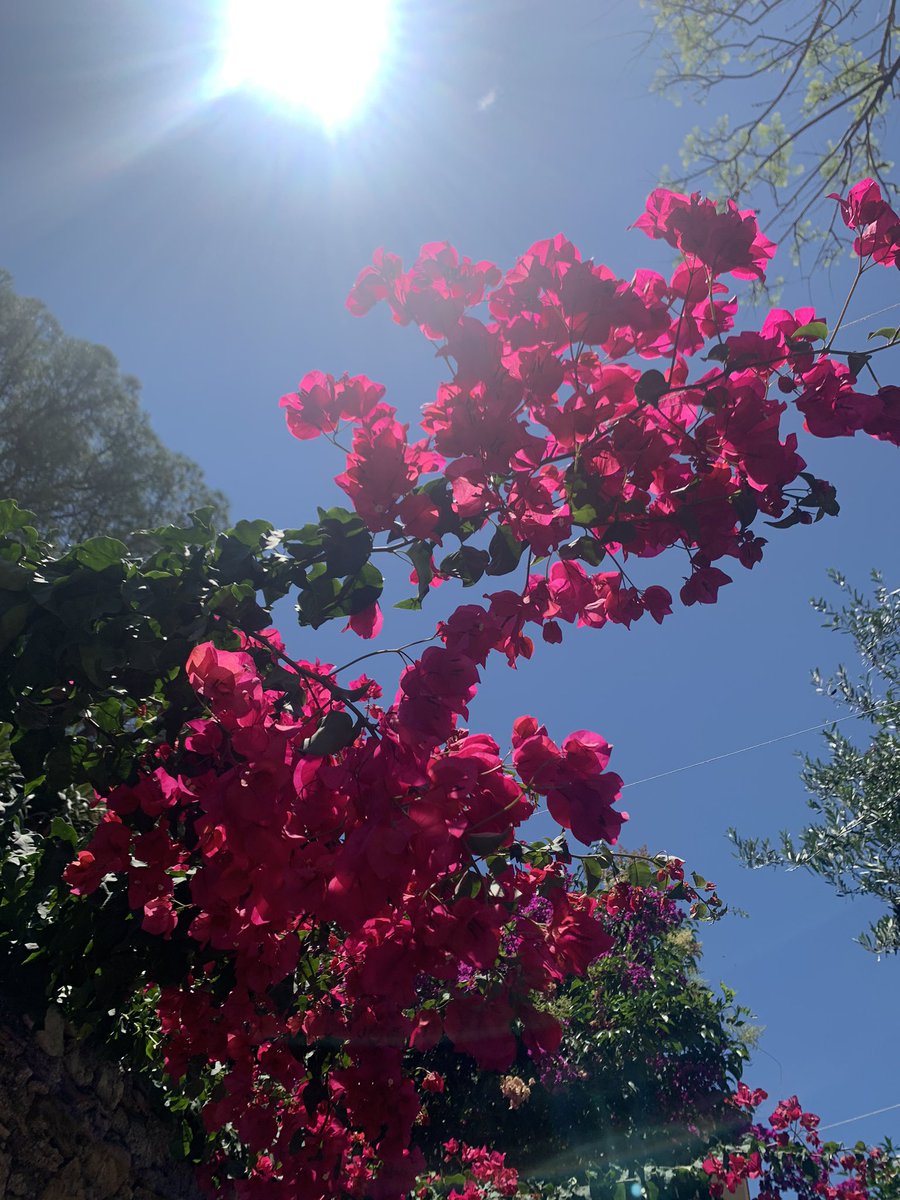 Dopo la tempesta torna sempre il sole. #Taormina #taorminaislife #positive #colors #beauty