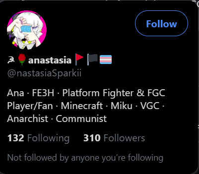 Part /5 Marxist-Lesbians, Homosexuality, Anarchy, Communist, Carnation Symbolism, Hanner&Sickle, ACAB, "When our time Comes we will make no excuses for the terror", "I like guns" ? These two are related - Lesbian couple